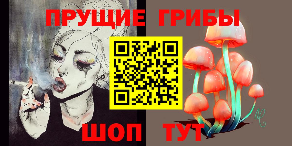 Псилоцибиновые грибы мицелий  Псилоцибиновые грибы GOLDEN TEACHER  Вход с VPN  Кимовск 